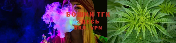 спайс Арсеньев