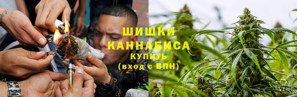 спайс Арсеньев