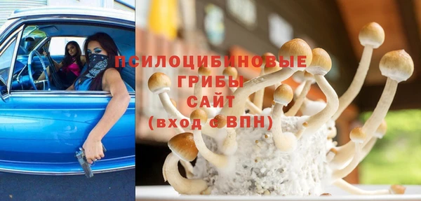СК Армянск
